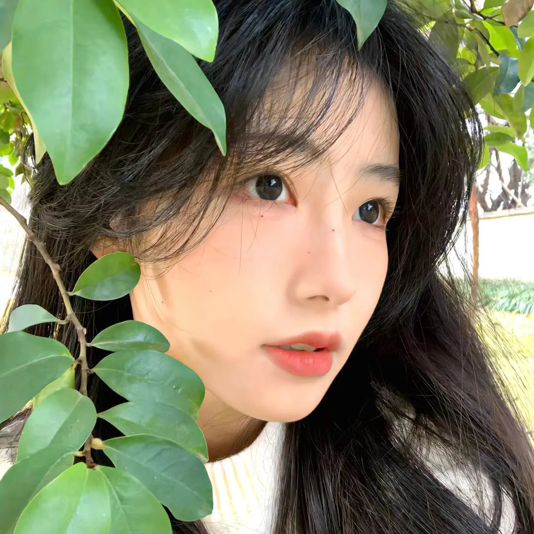 倾城歌手